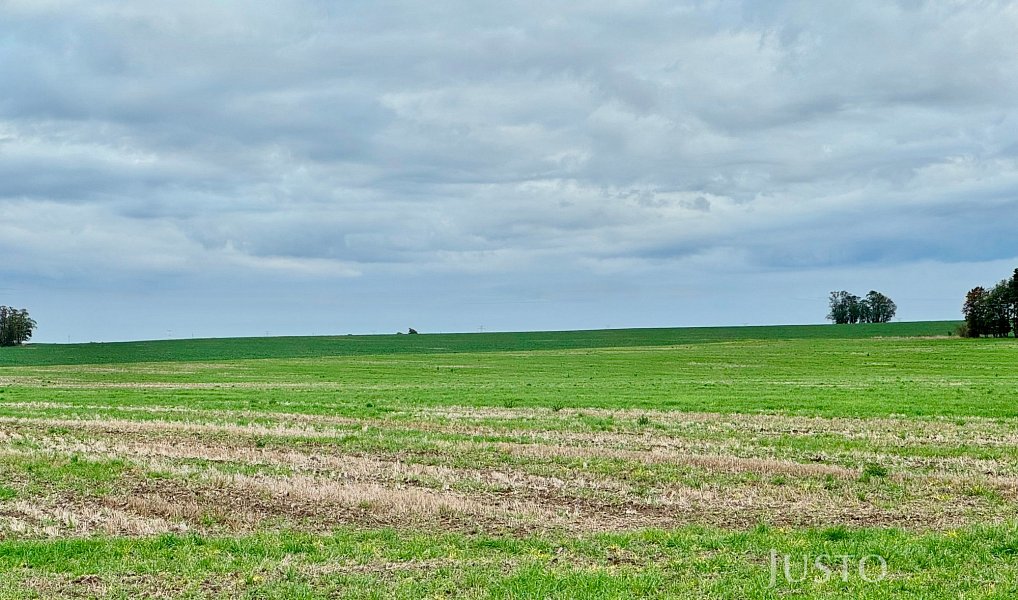 Prodej pole 7 167 m², Černuc – náhled fotky 10