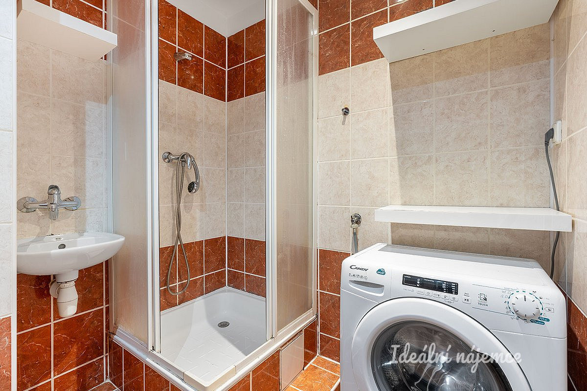 1+1 Apartment in Praha – pohled 5