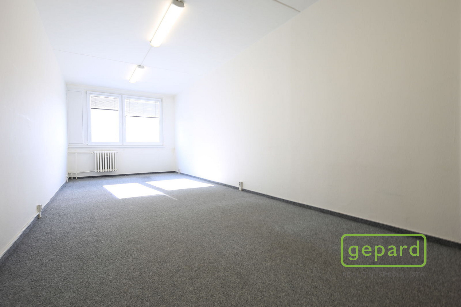 Pronájem kanceláře 24 m² – fotografie 2