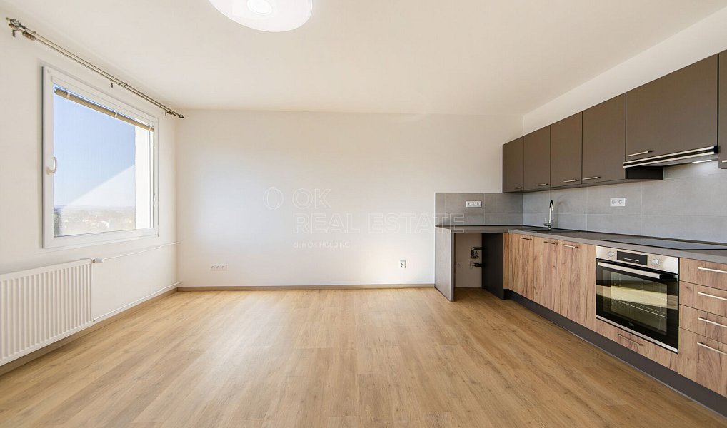 Pronájem bytu 1+kk 31 m², Planá – náhled fotky 2