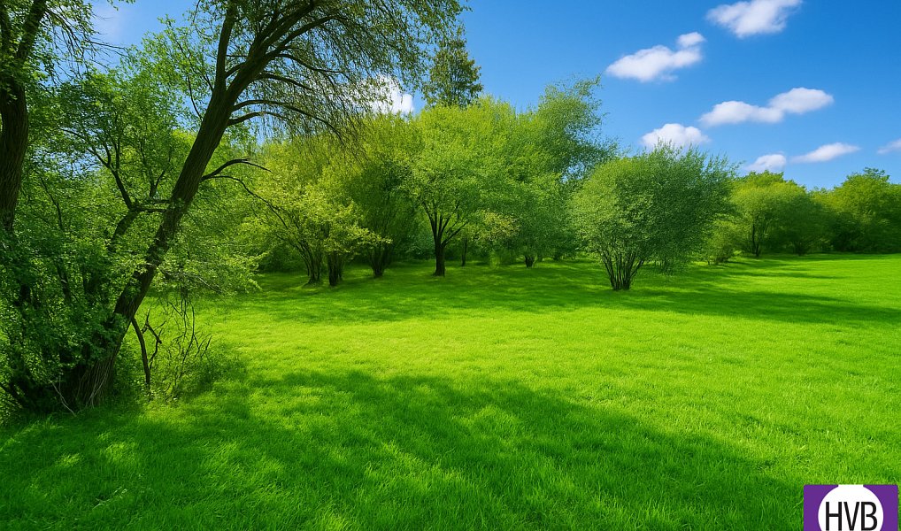 Prodej stavebního pozemku 1 255 m², Drevníky – náhled fotky 4