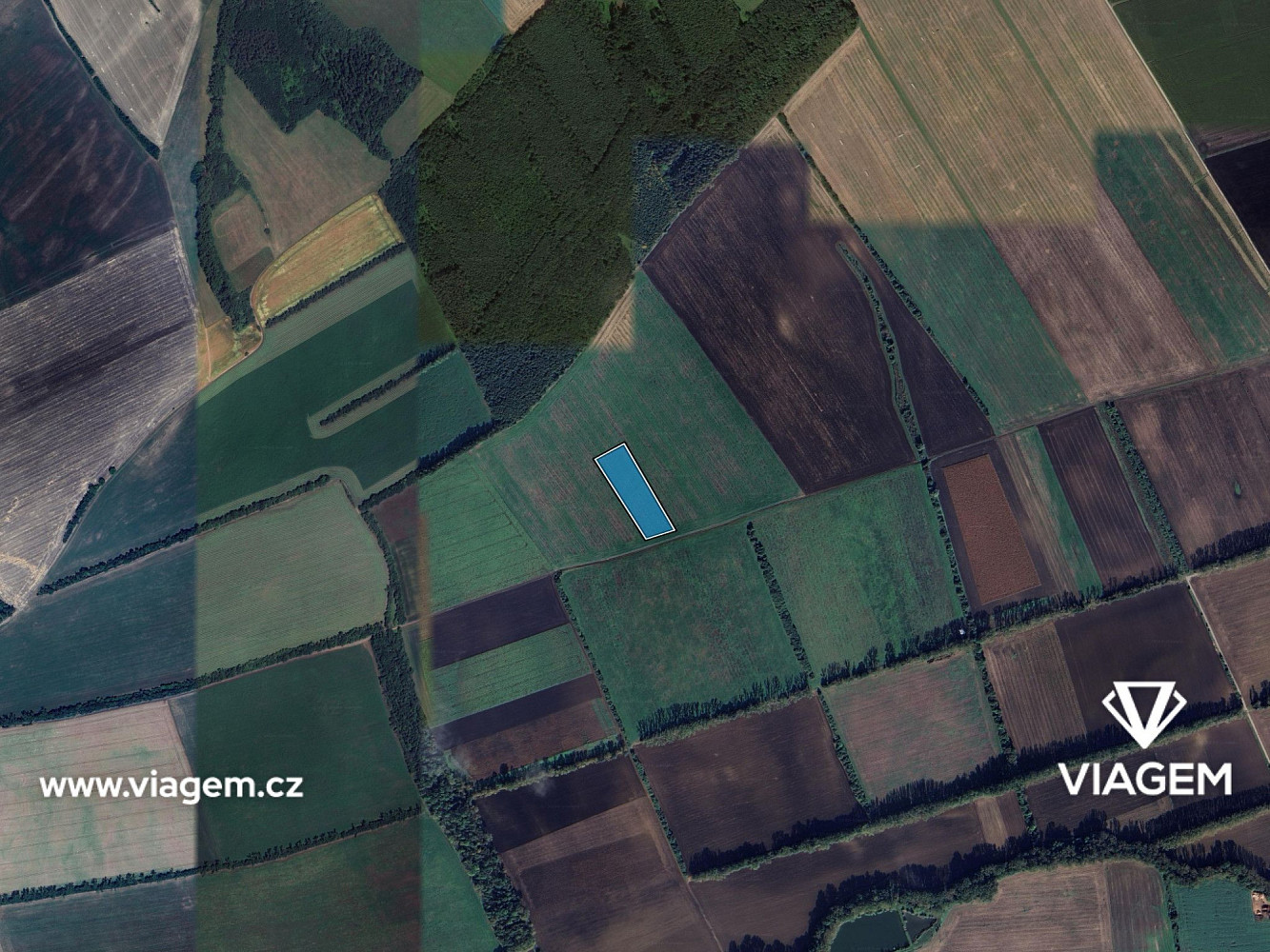 Prodej pole 786 m² – fotografie 3