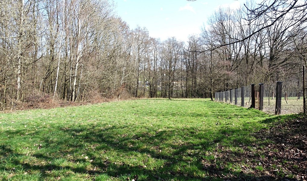 Prodej louky 6 013 m², Bohumín – náhled fotky 4