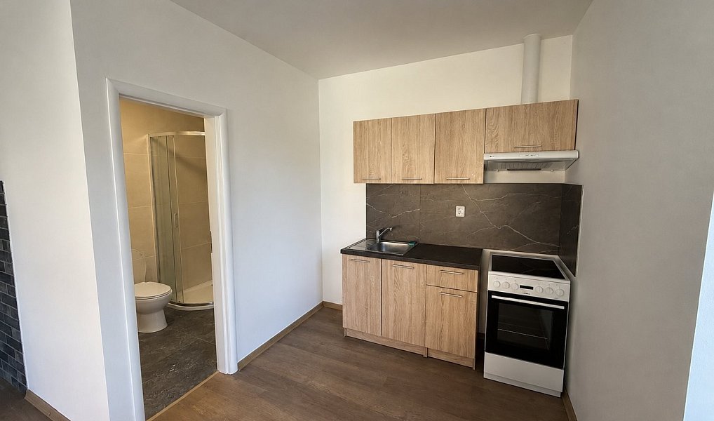 Pronájem bytu 1+kk 35 m², Dolní Poustevna – náhled fotky 5