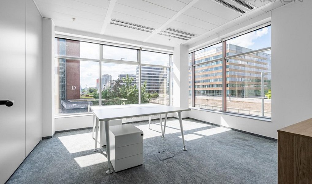 Pronájem kanceláře 924 m², Praha – náhled fotky 8