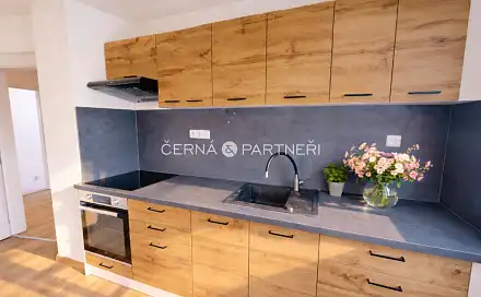 Pronájem bytu 3+kk 85 m², Podkrušnohorská, Litvínov - Horní Litvínov, okres Most