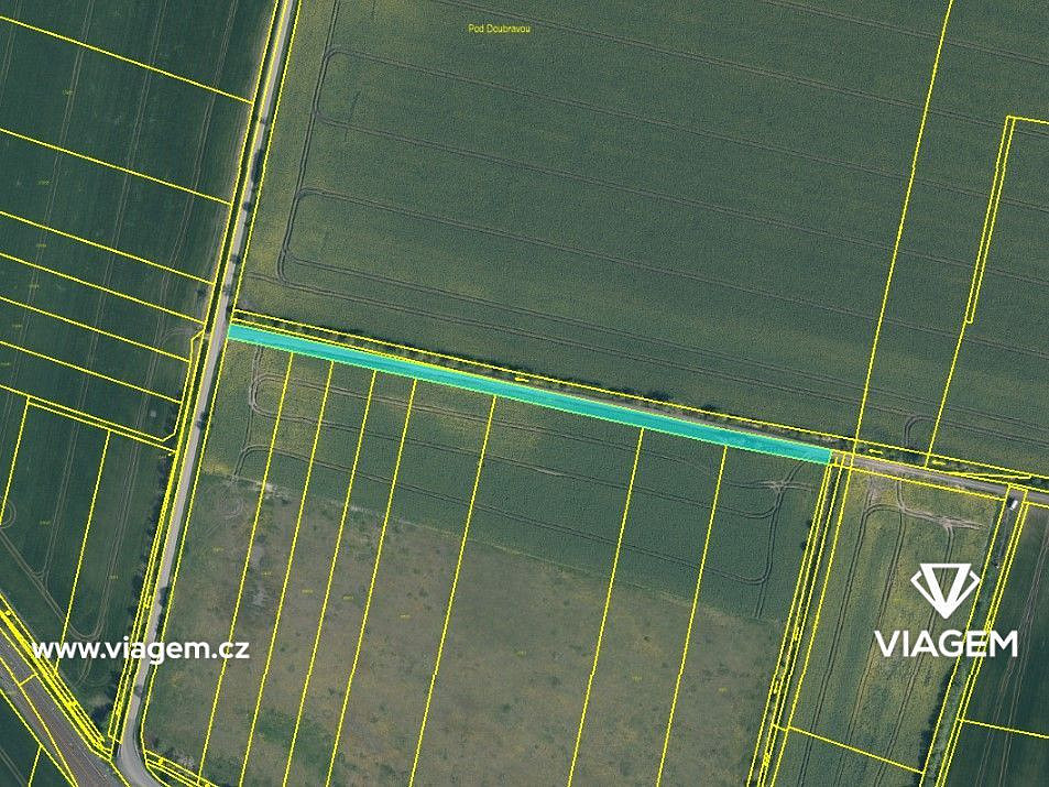 Prodej pole 2 305 m² – fotografie 5