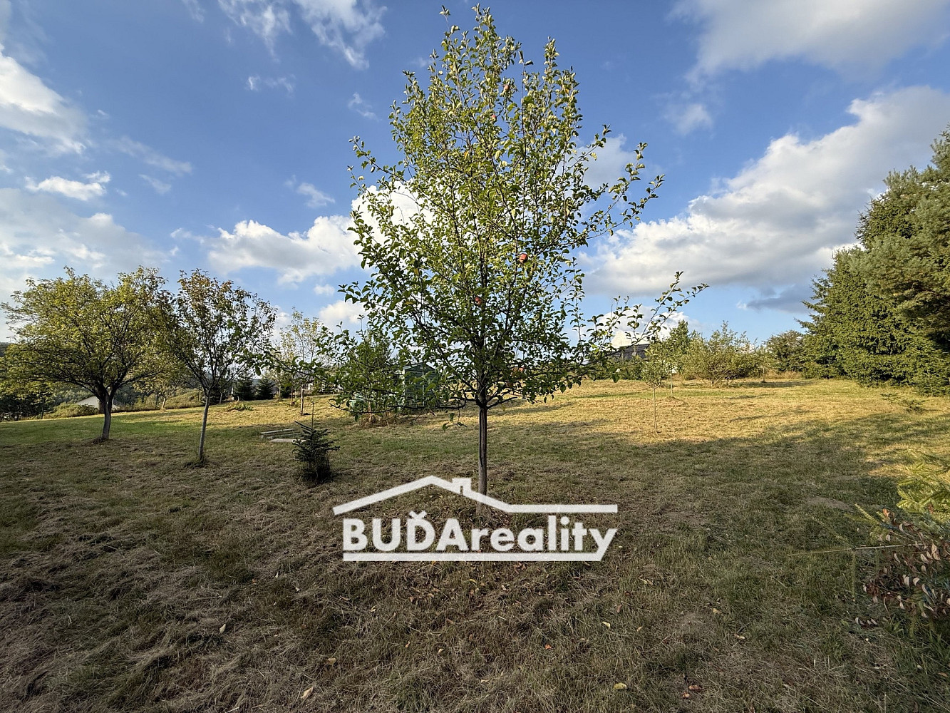 Prodej stavebního pozemku 2 507 m² – pohled 4