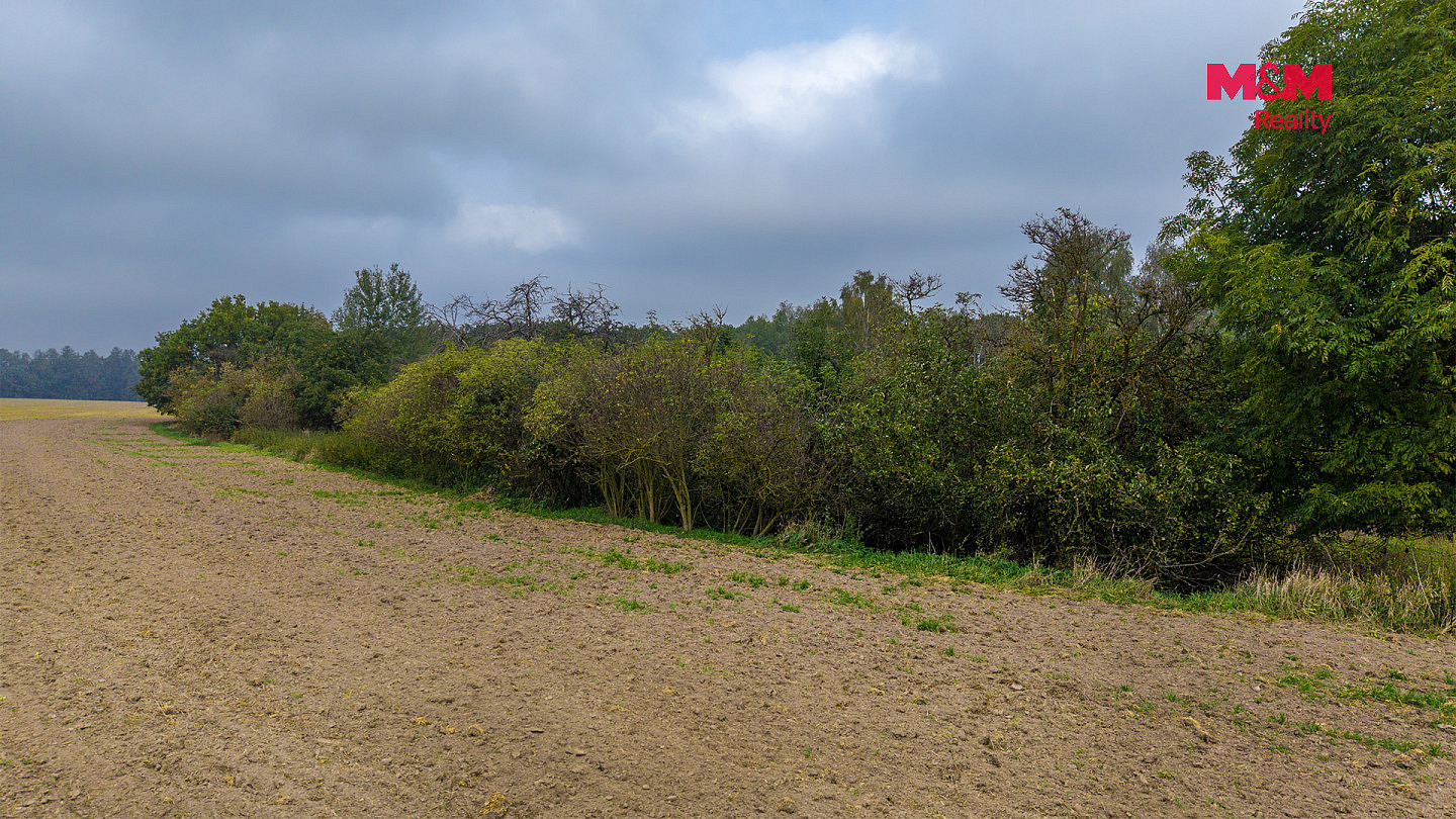 Prodej pole 38 582 m² – fotografie 4