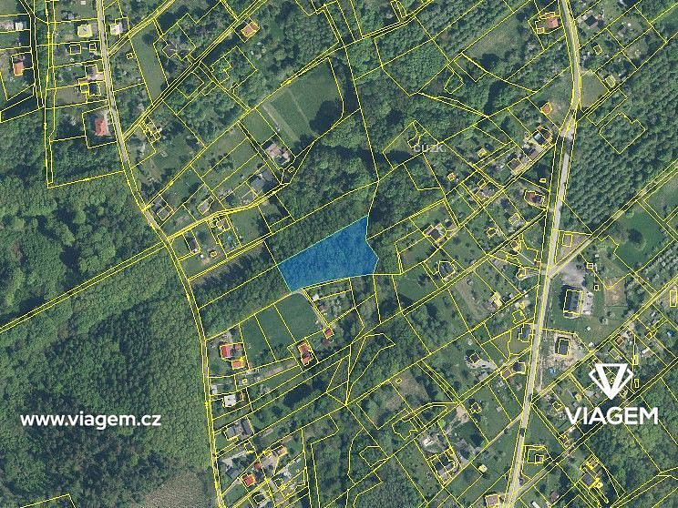 Prodej lesa 4 764 m² – fotografie 2