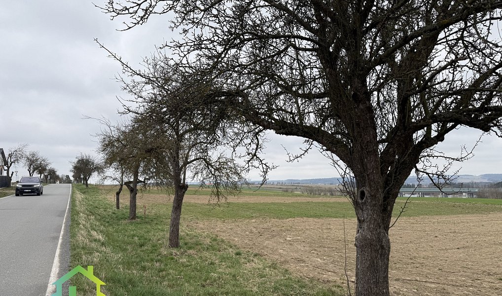 Prodej stavebního pozemku 600 m², Myslkovice – náhled fotky 6