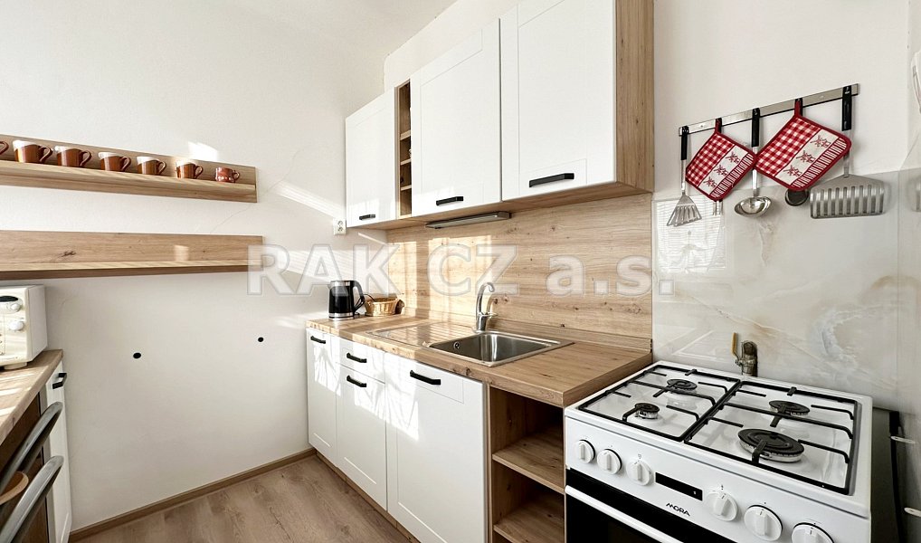 Pronájem bytu 3+1 57 m², Praha – náhled fotky 6