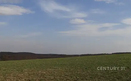 Prodej stavebního pozemku 5 420 m², Hrabyně, okres Opava