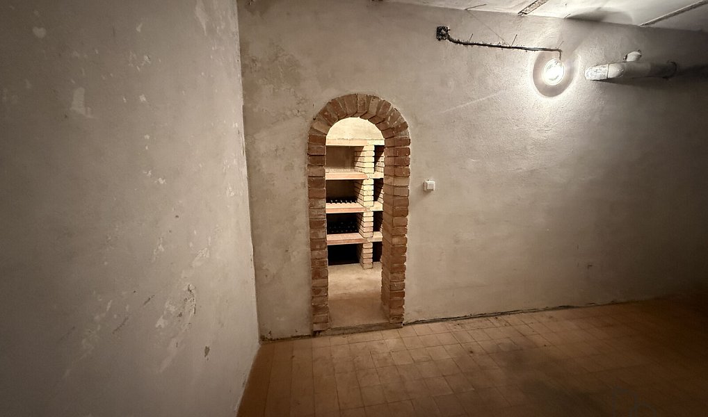 Prodej vinného sklepa Žabčice, Žabčice – náhled fotky 25