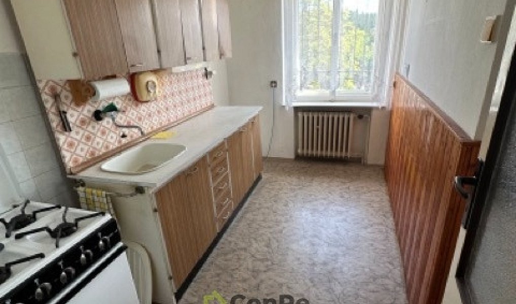 Prodej domu 420 m² s pozemkem 980 m², Jablonec nad Nisou – náhled fotky 7
