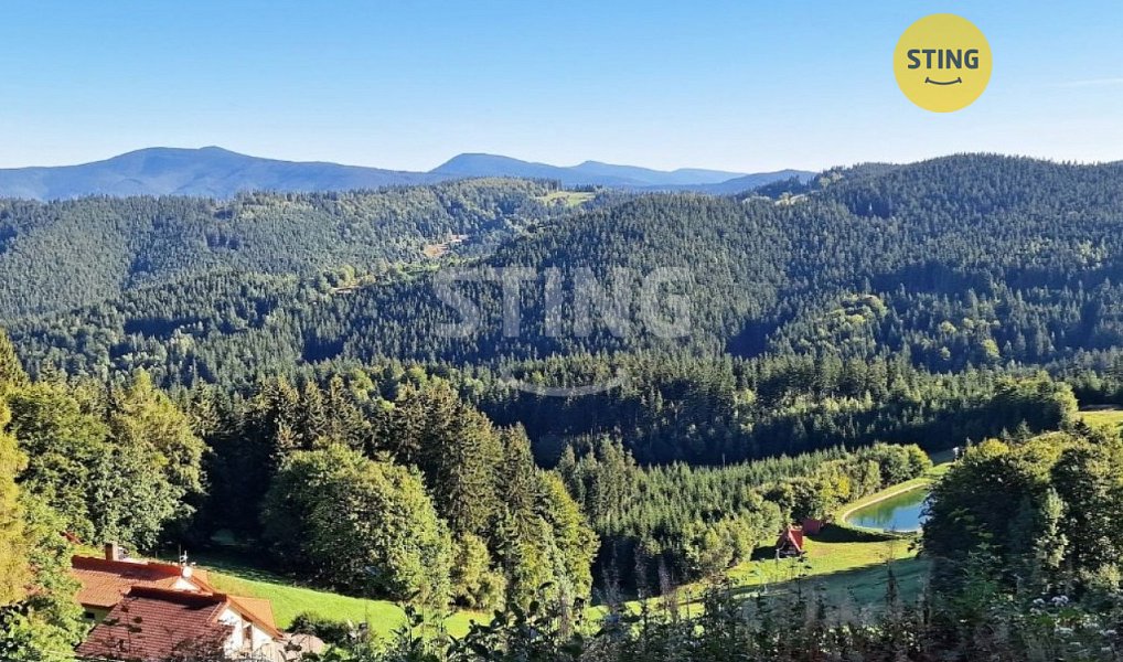 Pronájem chaty/chalupy 290 m² s pozemkem 1 168 m², Hutisko-Solanec – fotka 1 z 29