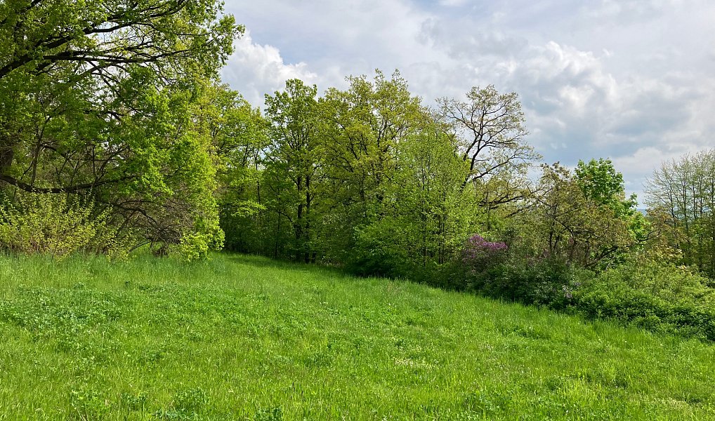 Prodej stavebního pozemku 5 367 m², Vysoký Chlumec – náhled fotky 2