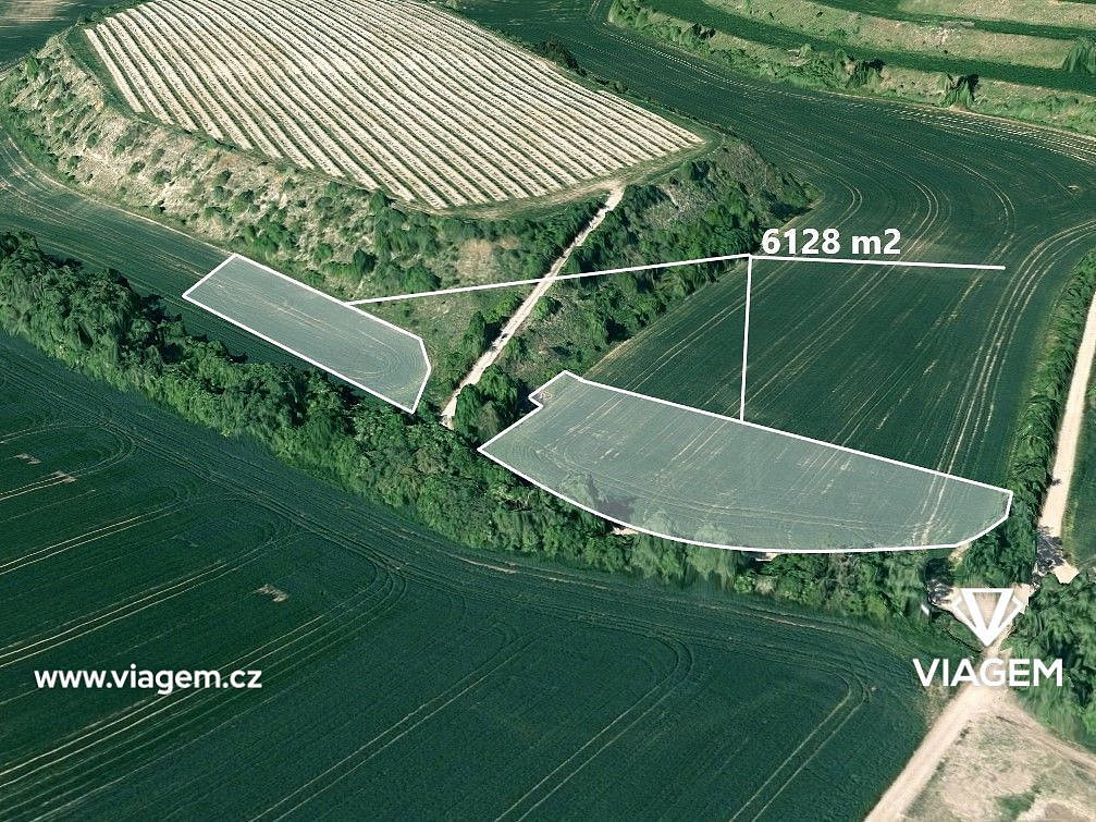 Prodej pole 2 451 m² – fotografie 4