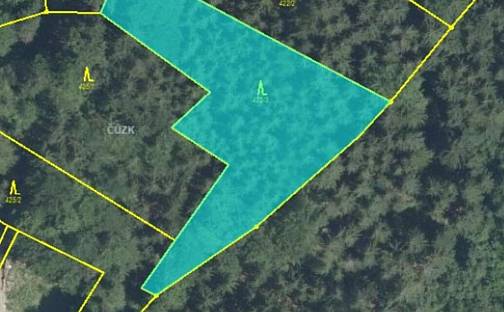 Prodej lesa 1 047 m², Líšný - Líšný 2.díl, okres Jablonec nad Nisou