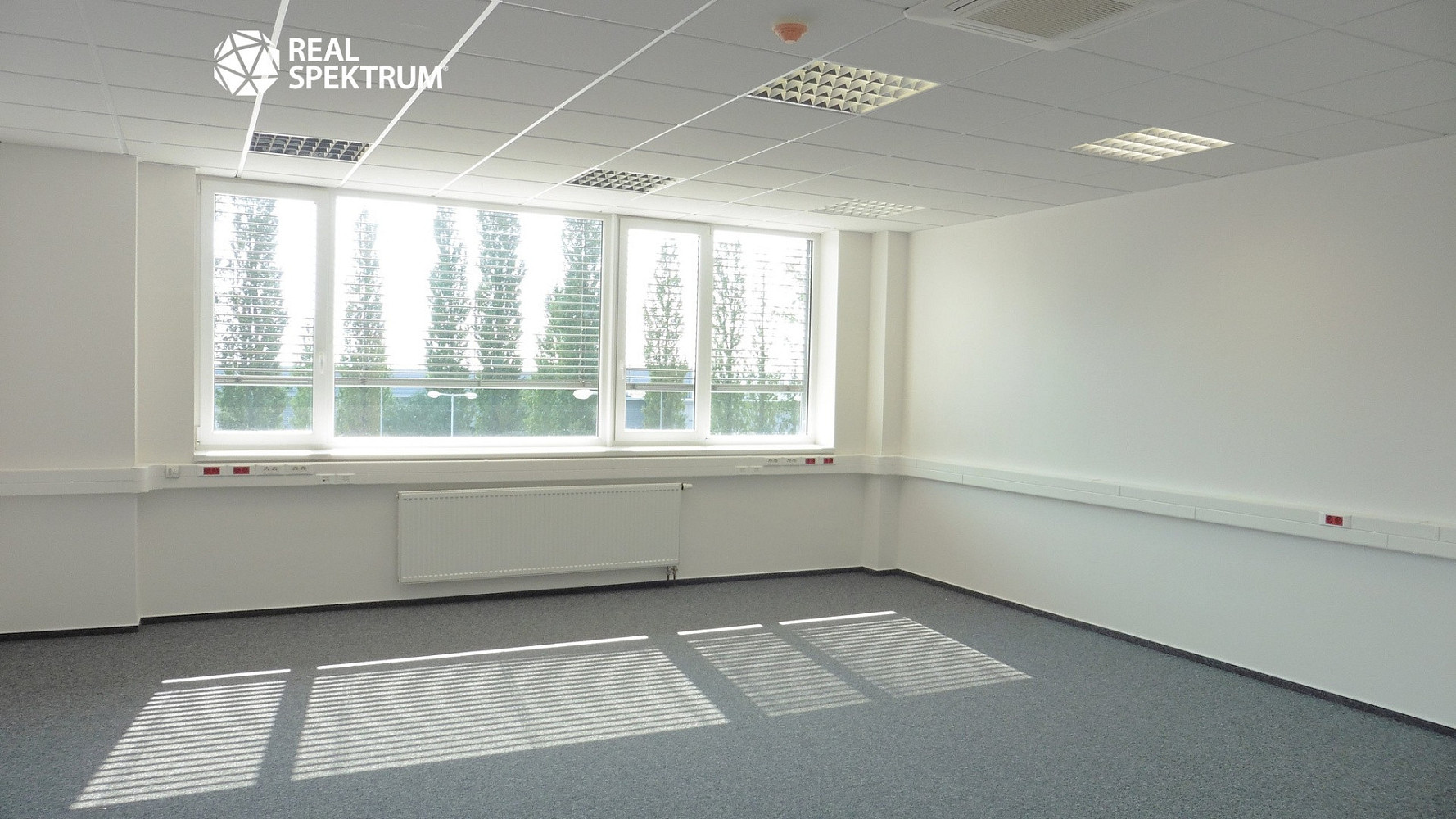Pronájem kanceláře 85 m² – fotografie 4