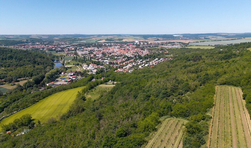 Prodej zahrady 8 724 m², Ivančice – náhled fotky 3
