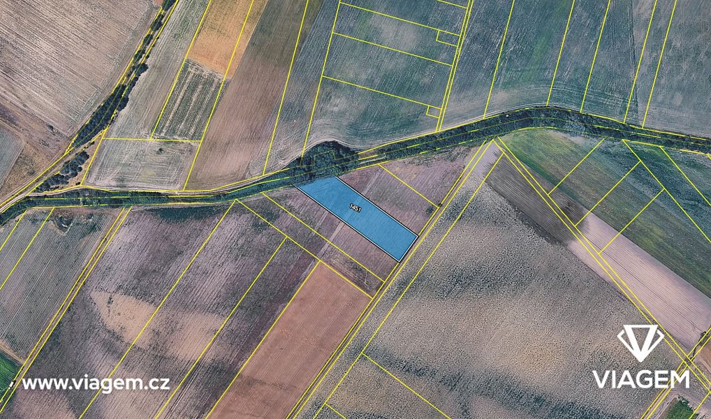 Prodej pole 1 550 m², Dřísy – náhled fotky 4