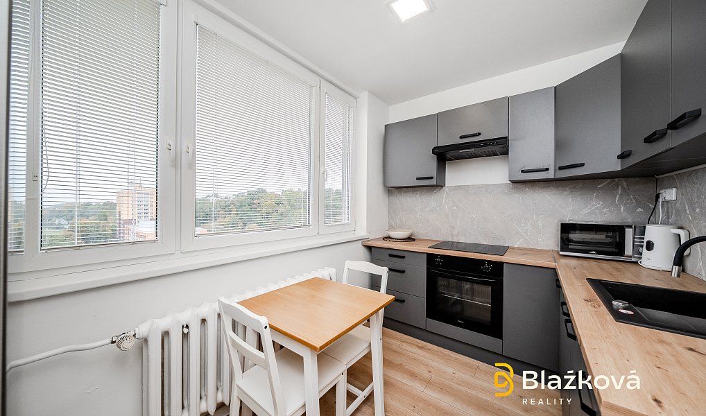 Pronájem bytu 1+1 30 m², Ostrava – náhled fotky 3