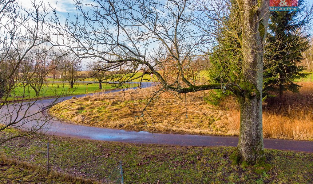 Prodej louky 1 050 m², Velký Šenov – náhled fotky 3
