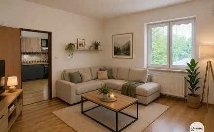 Pronájem bytu 1+1 44 m², H. Salichové, Frýdek-Místek - Frýdek