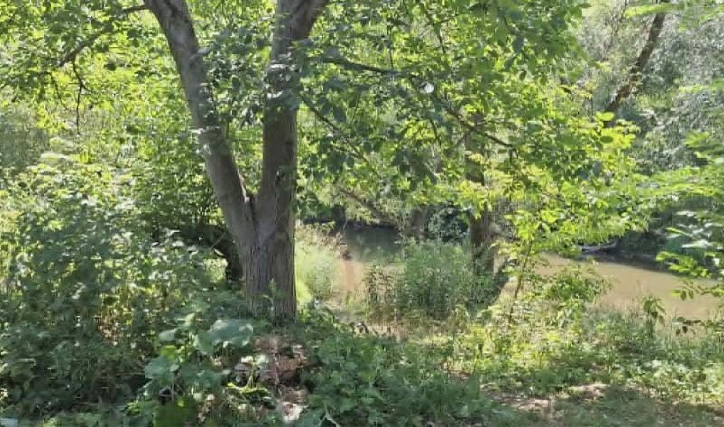 Prodej domu 350 m² s pozemkem 1 963 m², Ivaň – náhled fotky 36