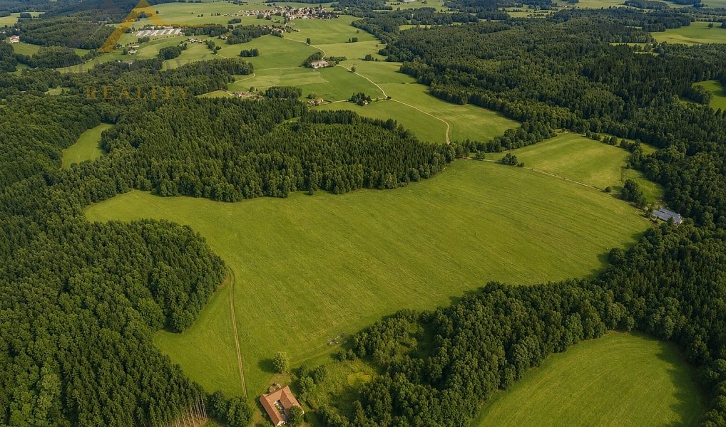 Prodej louky 98 591 m², Benešov nad Černou – náhled fotky 2