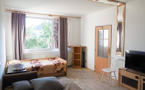 Pronájem bytu 1+1 45 m², Italská, Prachatice - Prachatice II