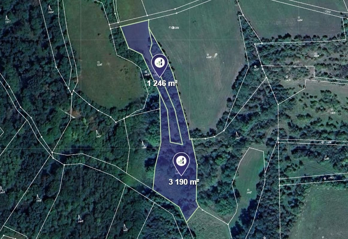 Prodej lesa 4 436 m²