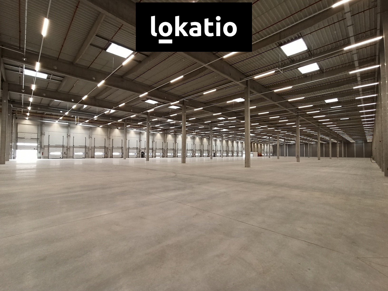 Pronájem skladovacích prostor 2 600 m² – fotografie 5