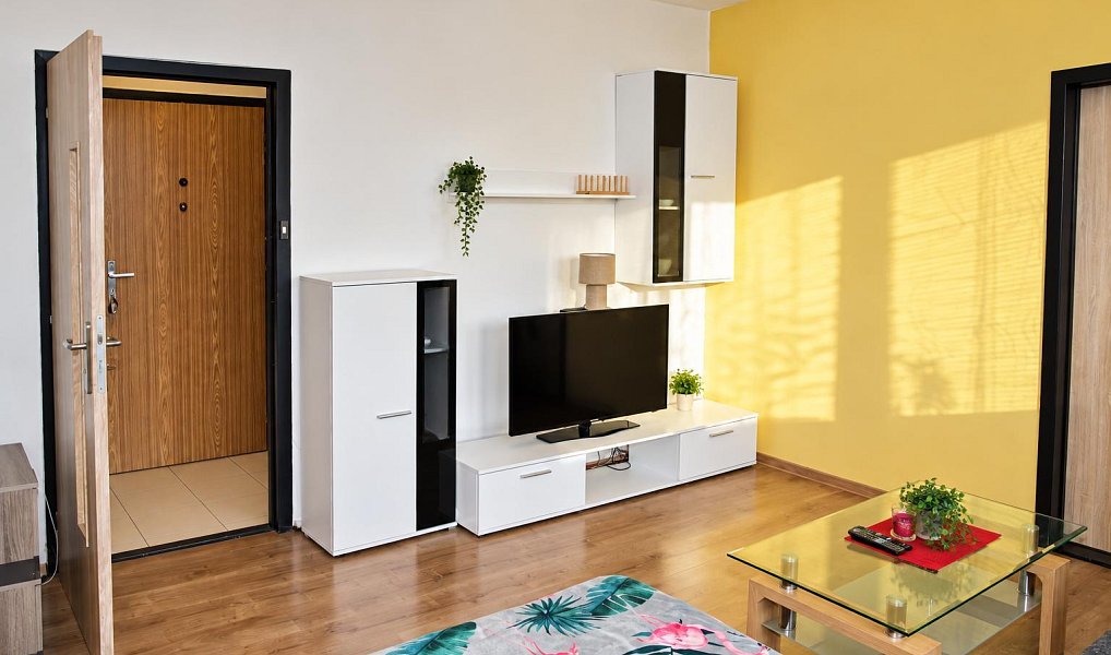 Pronájem bytu 2+1 45 m², Orlová – náhled fotky 7