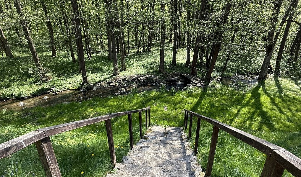 Prodej ubytovacího objektu 600 m², Horní Město – náhled fotky 3