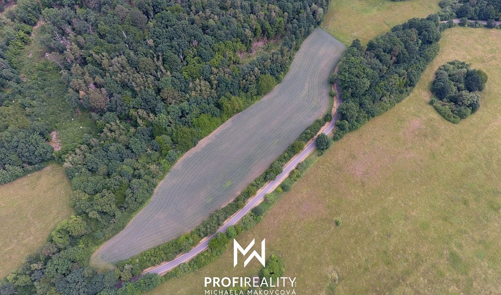 Prodej pole 30 547 m², Stružnice – náhled fotky 5