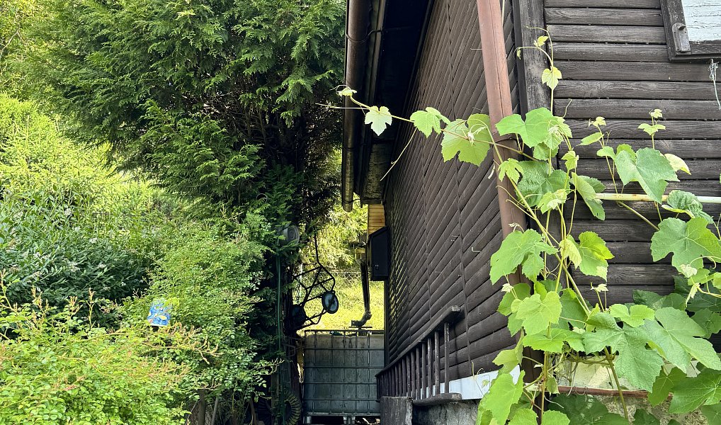 Prodej chaty/chalupy 48 m² s pozemkem 348 m², Kaliště – náhled fotky 19