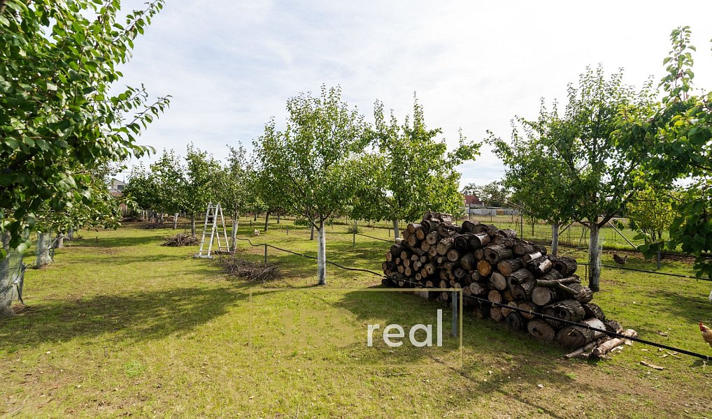 Prodej stavebního pozemku 1 764 m², Brod nad Dyjí – náhled fotky 6