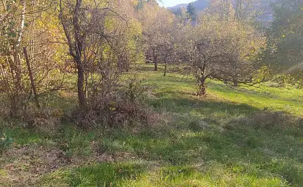 Prodej stavebního pozemku 2 994 m², Vsetín