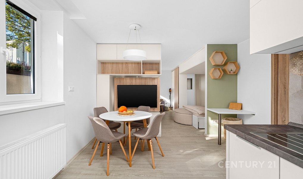 Prodej bytu 1+kk 46 m², Brno – náhled fotky 4