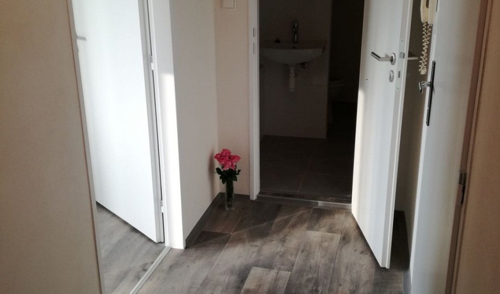 Pronájem bytu 2+1 44 m², Ostrava – náhled fotky 4