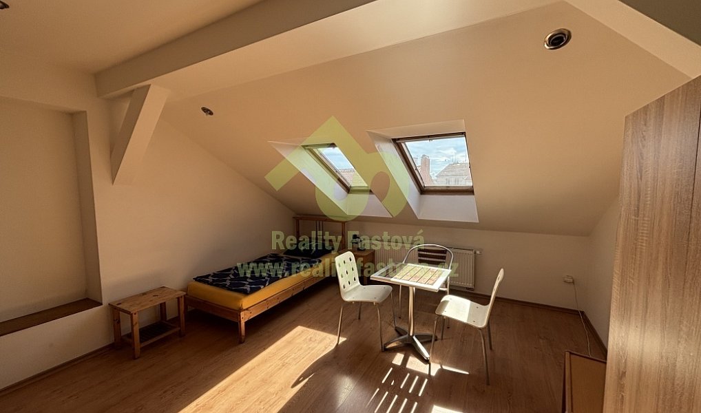 Prodej domu 776 m² s pozemkem 192 m², Plzeň – náhled fotky 18