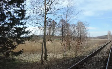 Prodej pozemku 3 690 m², Brniště, okres Česká Lípa