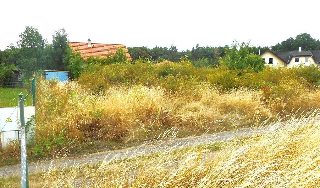Prodej stavebního pozemku 500 m², Chbany – náhled fotky 2