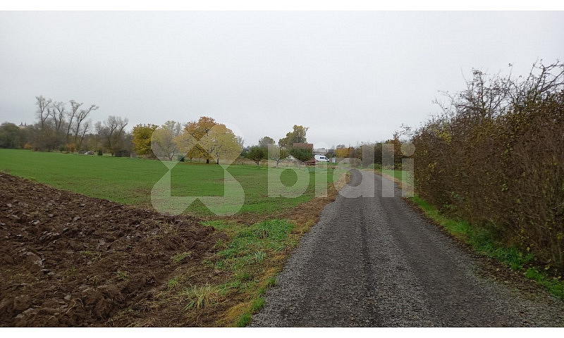 Prodej pole 3 241 m² – fotografie 3