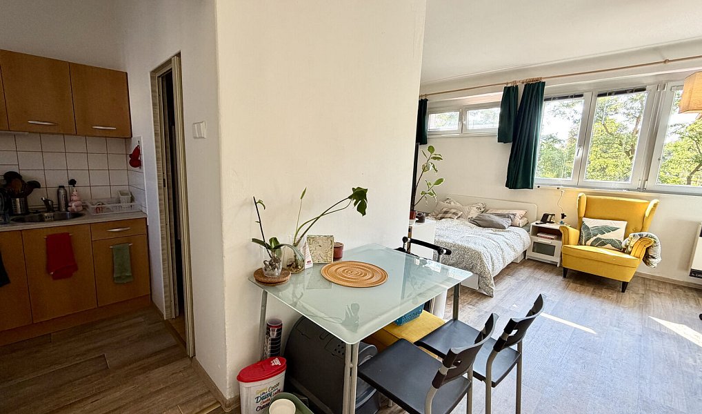 Pronájem bytu 1+1 36 m², Praha – náhled fotky 3