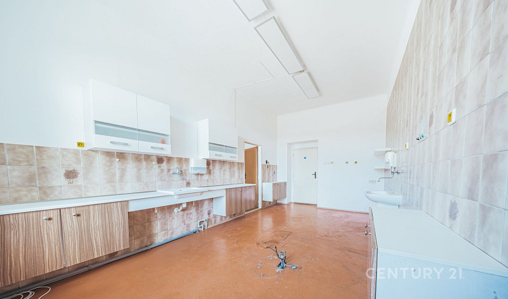 Prodej komerčního objektu (jiného typu) 120 m², Horní Bříza – náhled fotky 9