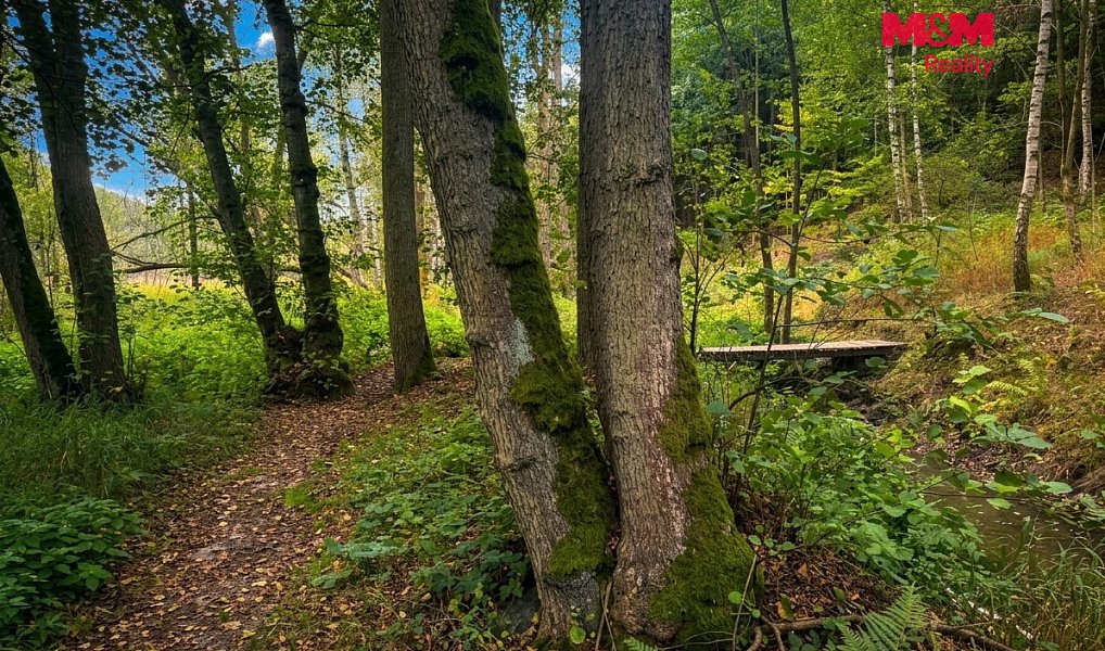 Prodej louky 10 113 m², Kožlany – náhled fotky 16
