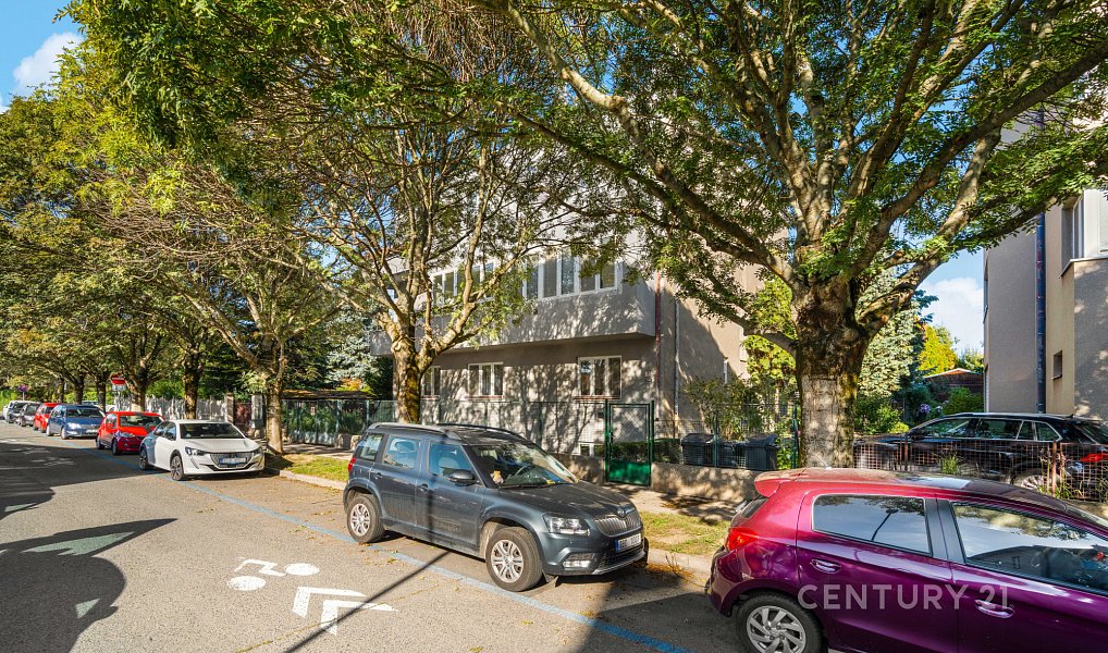 Prodej bytu 1+kk 46 m², Brno – náhled fotky 14